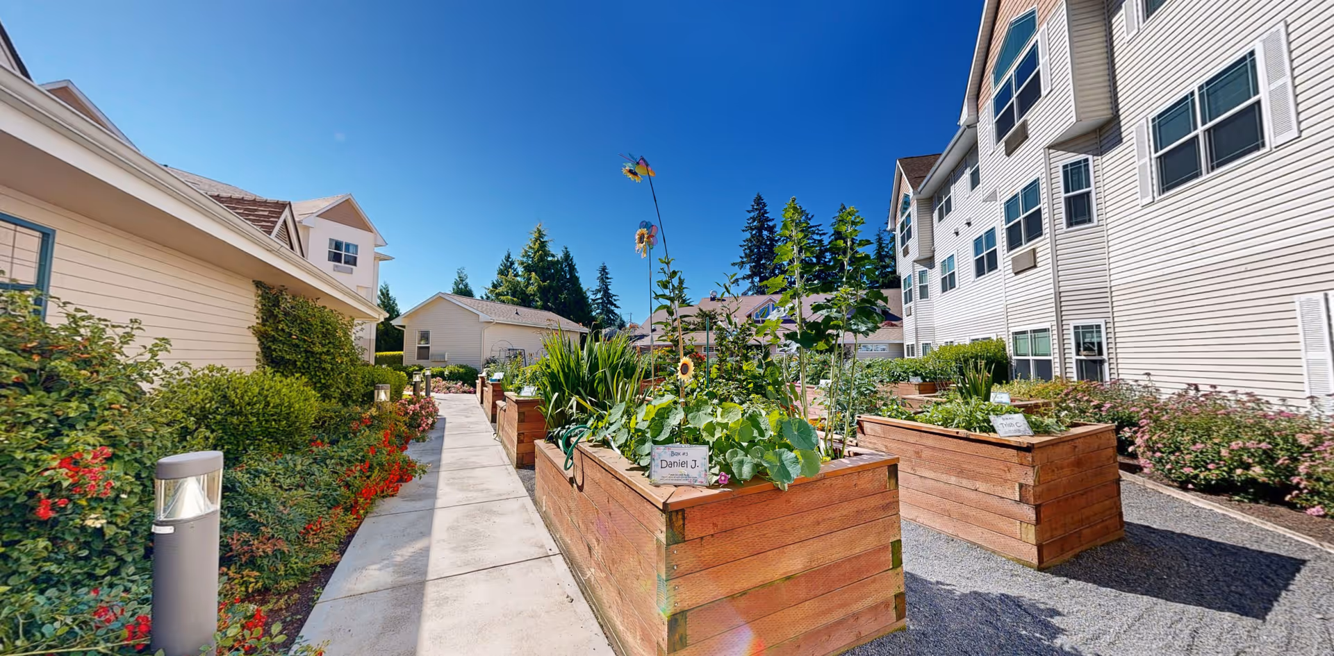 Outdoor garden area at Cogir of Glenwood Place with raised wooden planter boxes containing various plants and flowers. A concrete walkway runs alongside the planters, bordered by bushes and flowers. The garden is situated between light-colored residential buildings under a clear blue sky.