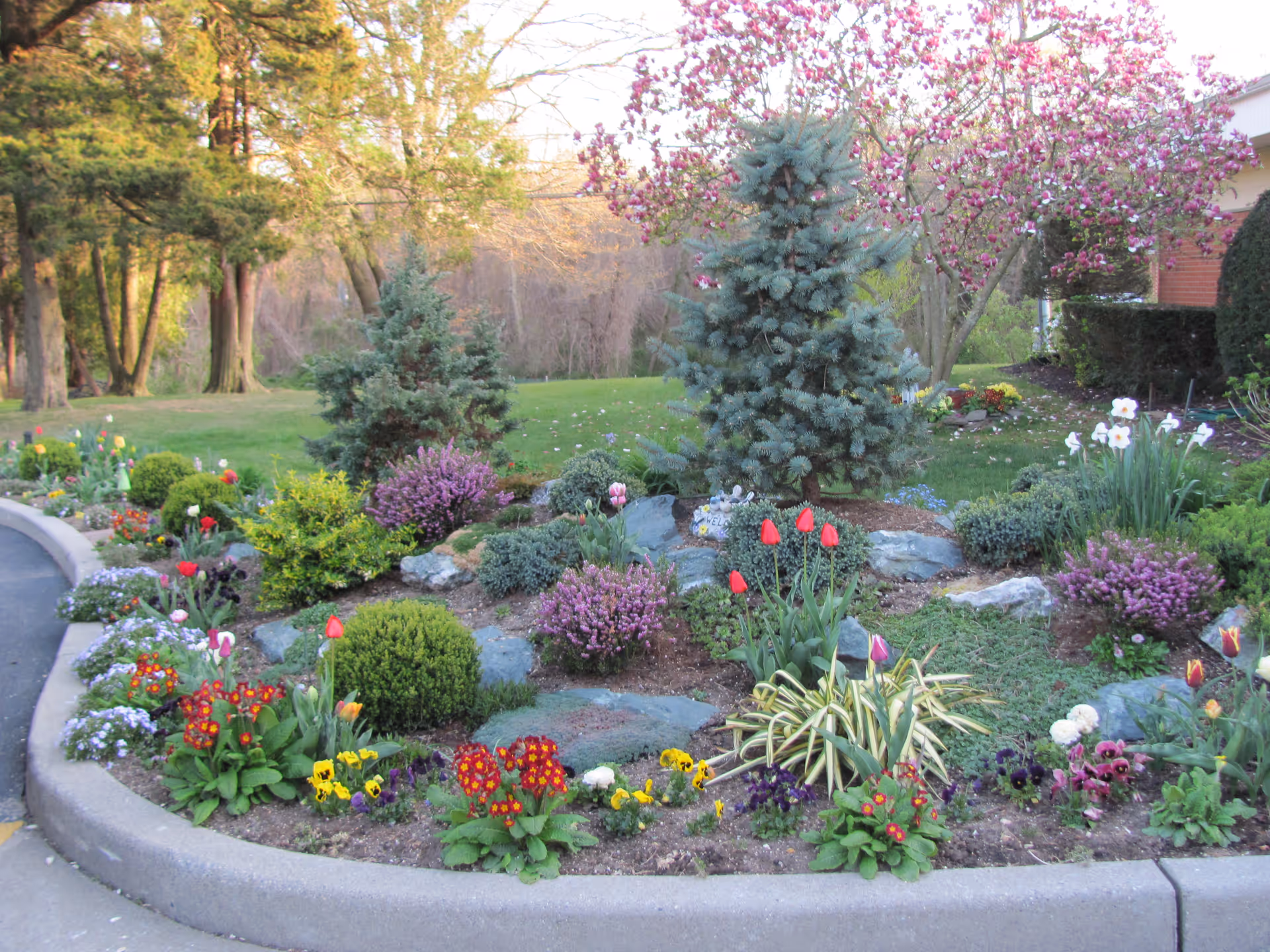 A landscaped garden bed with colorful flowers, shrubs, and small trees along a curved concrete curb in front of a grassy lawn.