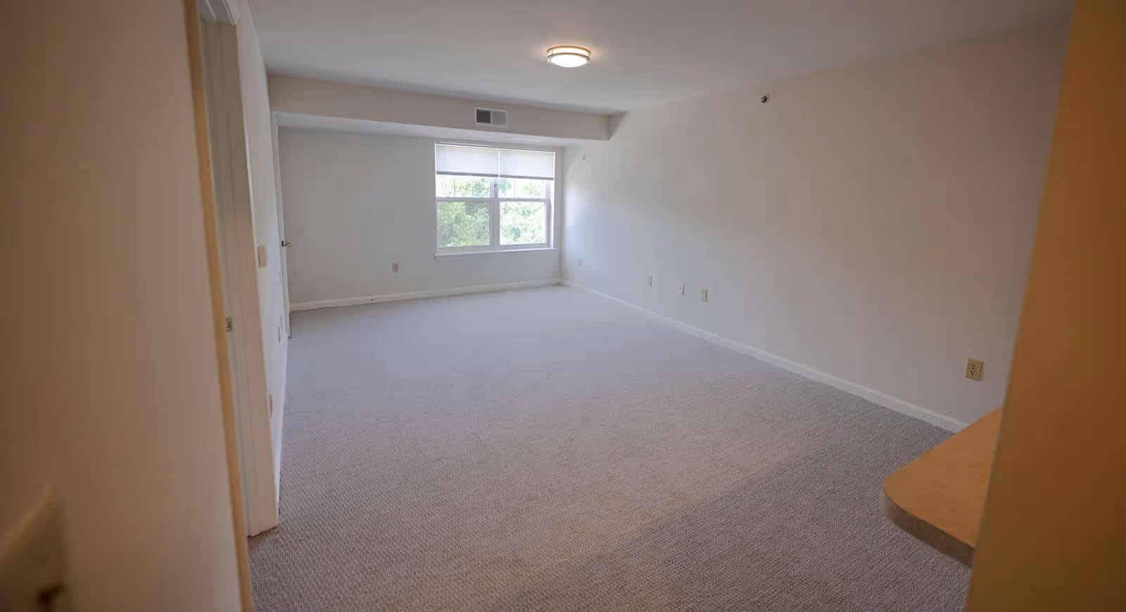 Empty room with beige carpet and white walls, a window with a view of greenery outside, and a ceiling light fixture. The room appears to be part of an apartment or senior living facility.