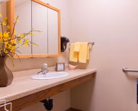 Bathroom vanity with sink, mirror, yellow towels, decorative vase, and a grab bar on the wall.