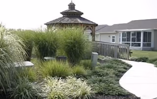 A landscaped outdoor area with a wooden gazebo surrounded by tall grasses and plants. A paved walkway curves through the garden leading to a building with large windows in the background.