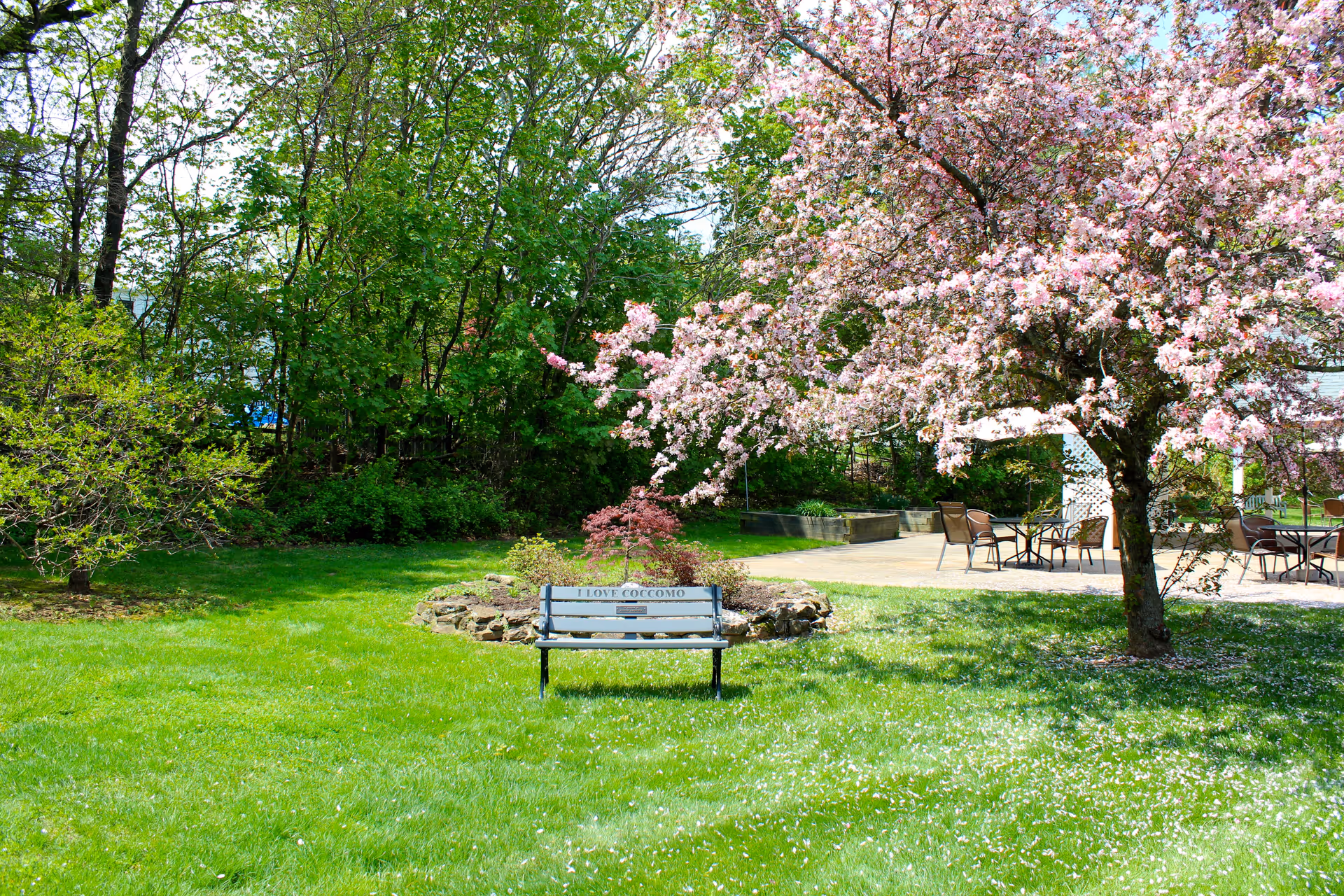 A peaceful outdoor garden area with a green lawn, a bench that reads 'I LOVE COCCOMO', a blooming tree with pink flowers, and a patio area with tables and chairs under umbrellas surrounded by lush green trees.