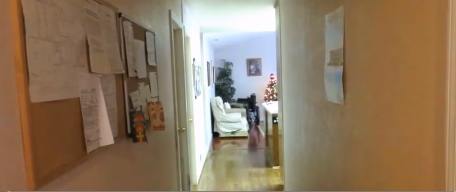 View down a hallway with bulletin boards on the left wall and a closed door on the right. At the end of the hallway, there is a living area with a white armchair, a decorated Christmas tree, a framed picture on the wall, and a potted plant.
