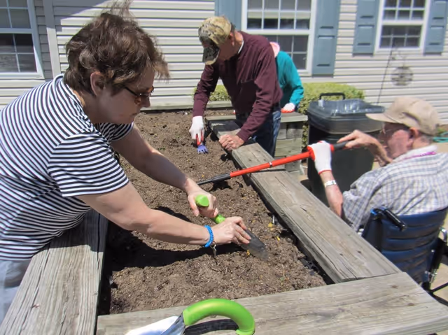 Three people gardening in a raised wooden garden bed outside a building with beige siding. One woman in a striped shirt is using a small gardening tool to work the soil, while two men, one wearing a camouflage cap and the other in a wheelchair, are also engaged in gardening activities using tools.
