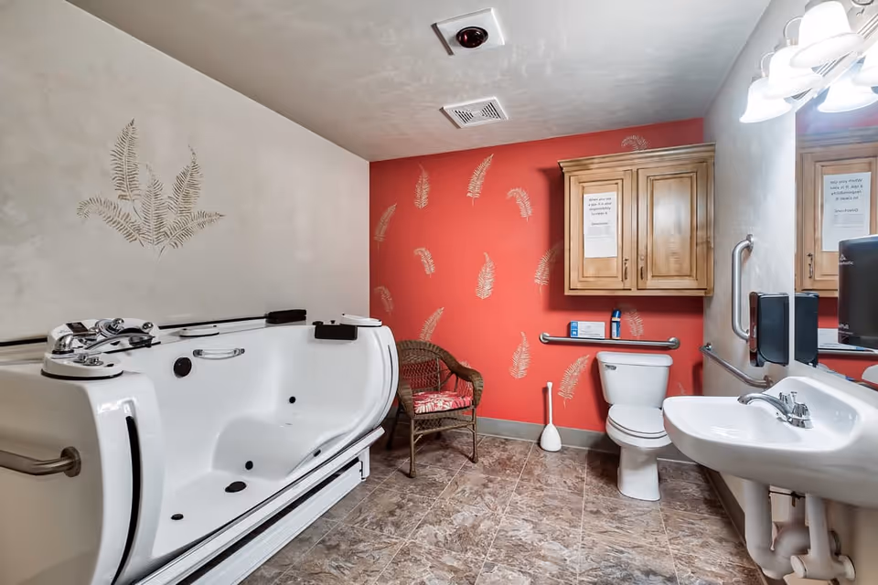 A bathroom with a white walk-in bathtub on the left, a wicker chair with a red cushion in the corner, a white toilet with a grab bar beside it, a white sink with a mirror and light fixture above it on the right, and a wooden cabinet mounted on a red wall with leaf patterns.