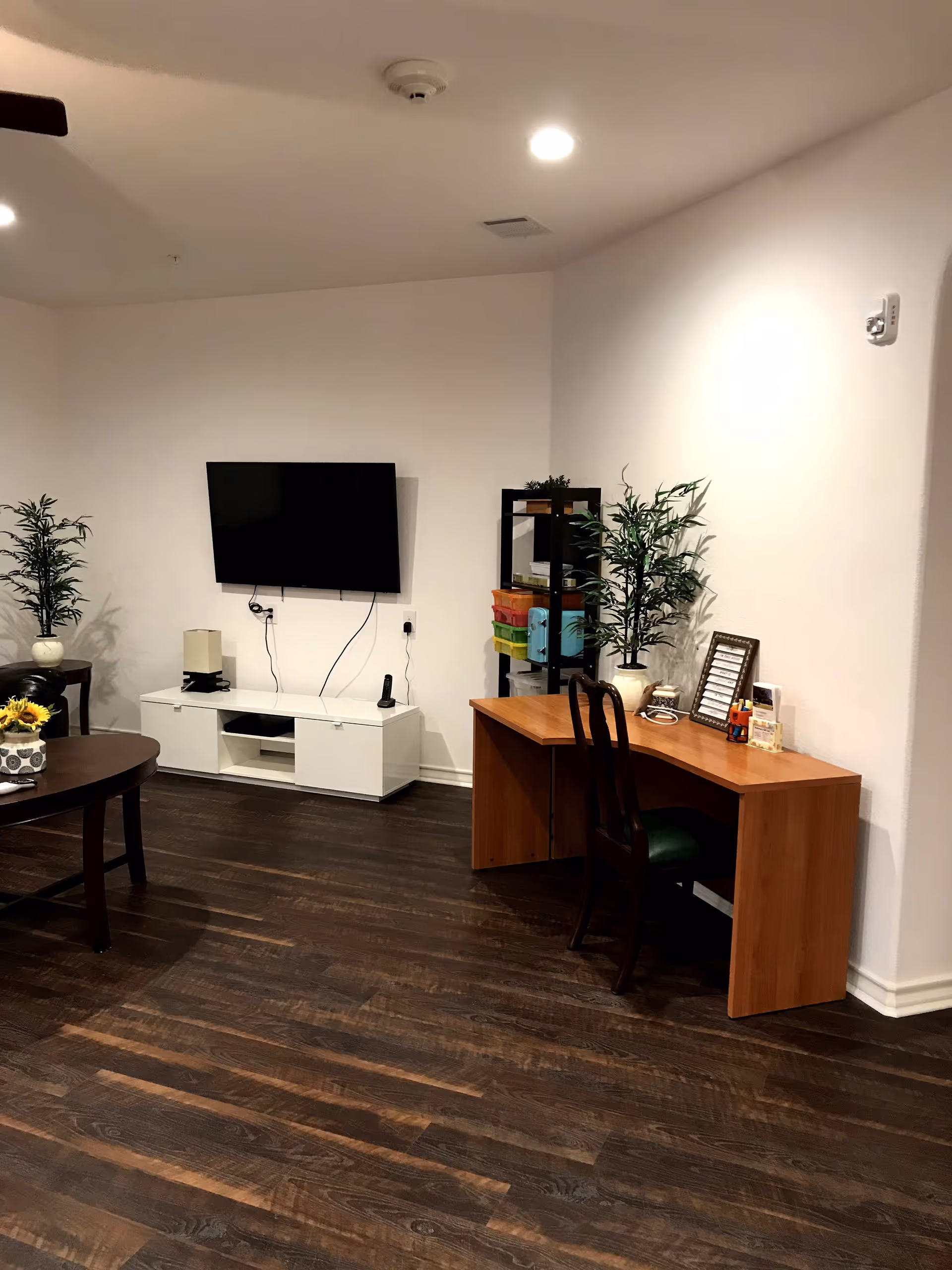 Interior of a living room with dark wood flooring, a wall-mounted flat screen TV above a white TV stand, a wooden desk with a chair, potted plants, and a black shelving unit with colorful storage bins.