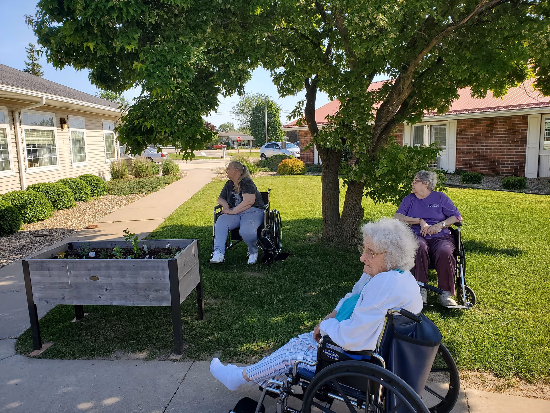 Three elderly women in wheelchairs sitting outside on a grassy area under a large tree near a raised garden bed, with buildings and a sidewalk in the background on a sunny day.