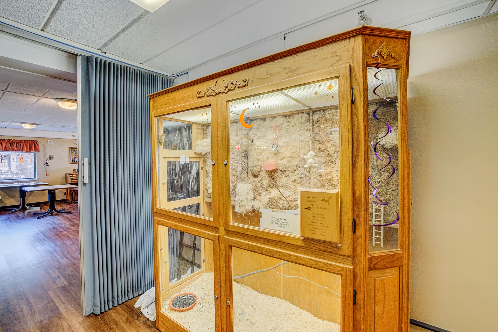 A wooden and glass enclosure housing a small animal habitat with bedding, a food dish, and hanging toys. The enclosure is located indoors near a blue folding room divider, with a room featuring tables and chairs visible in the background.