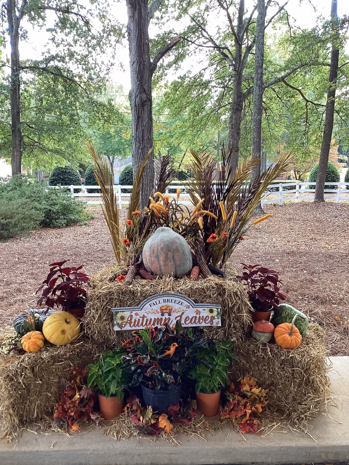 An outdoor autumn-themed display featuring hay bales arranged in tiers decorated with various pumpkins, gourds, potted plants, dried grasses, and artificial fall leaves. A sign on the front hay bale reads 'Fall Breeze and Autumn Leaves.' The background shows trees, bushes, and a white fence in a natural setting.