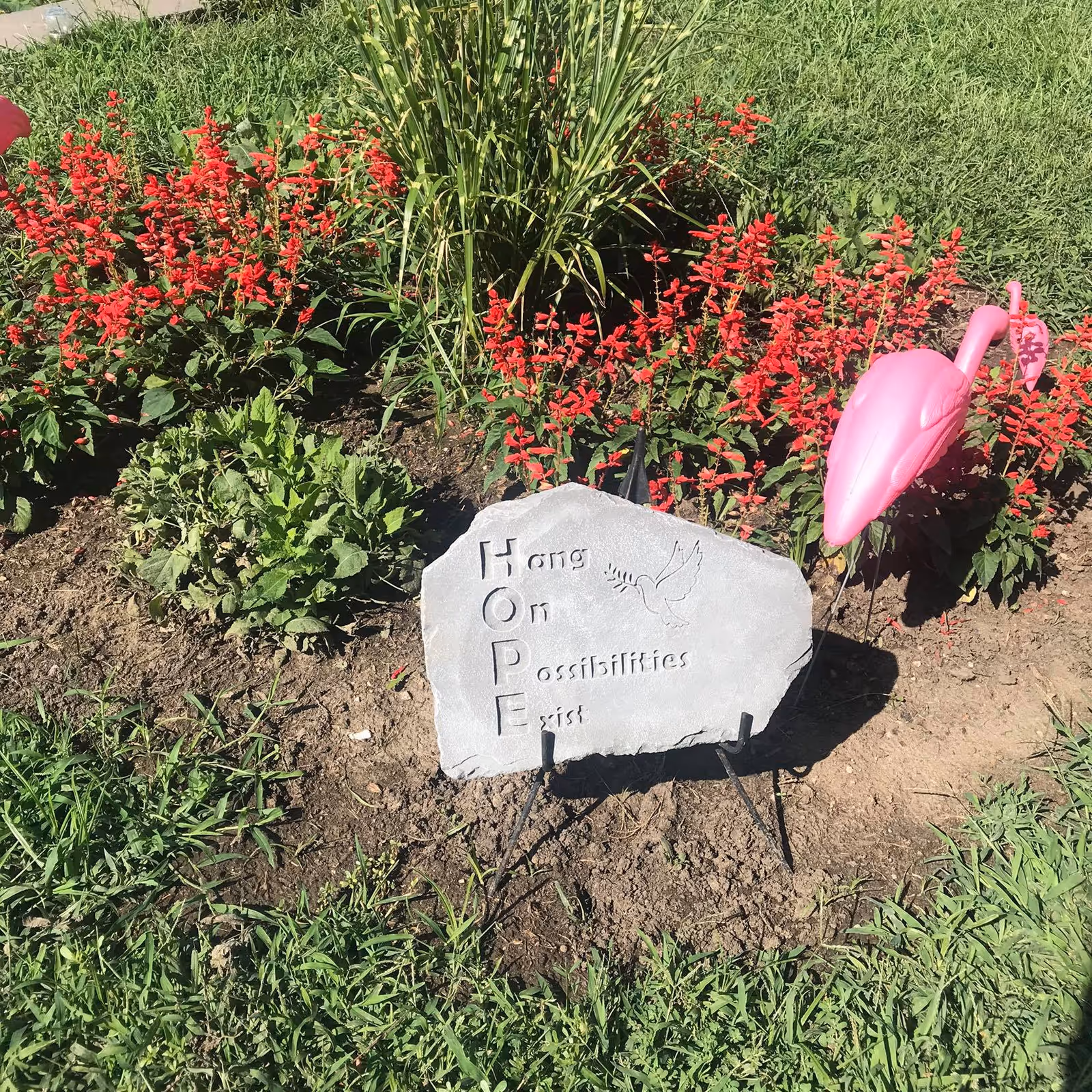 A garden bed with red flowers and green plants surrounding a stone plaque that reads 'HOPE Hang On Possibilities Exist' with an engraved dove holding an olive branch. A pink plastic flamingo decoration is placed to the right of the plaque.