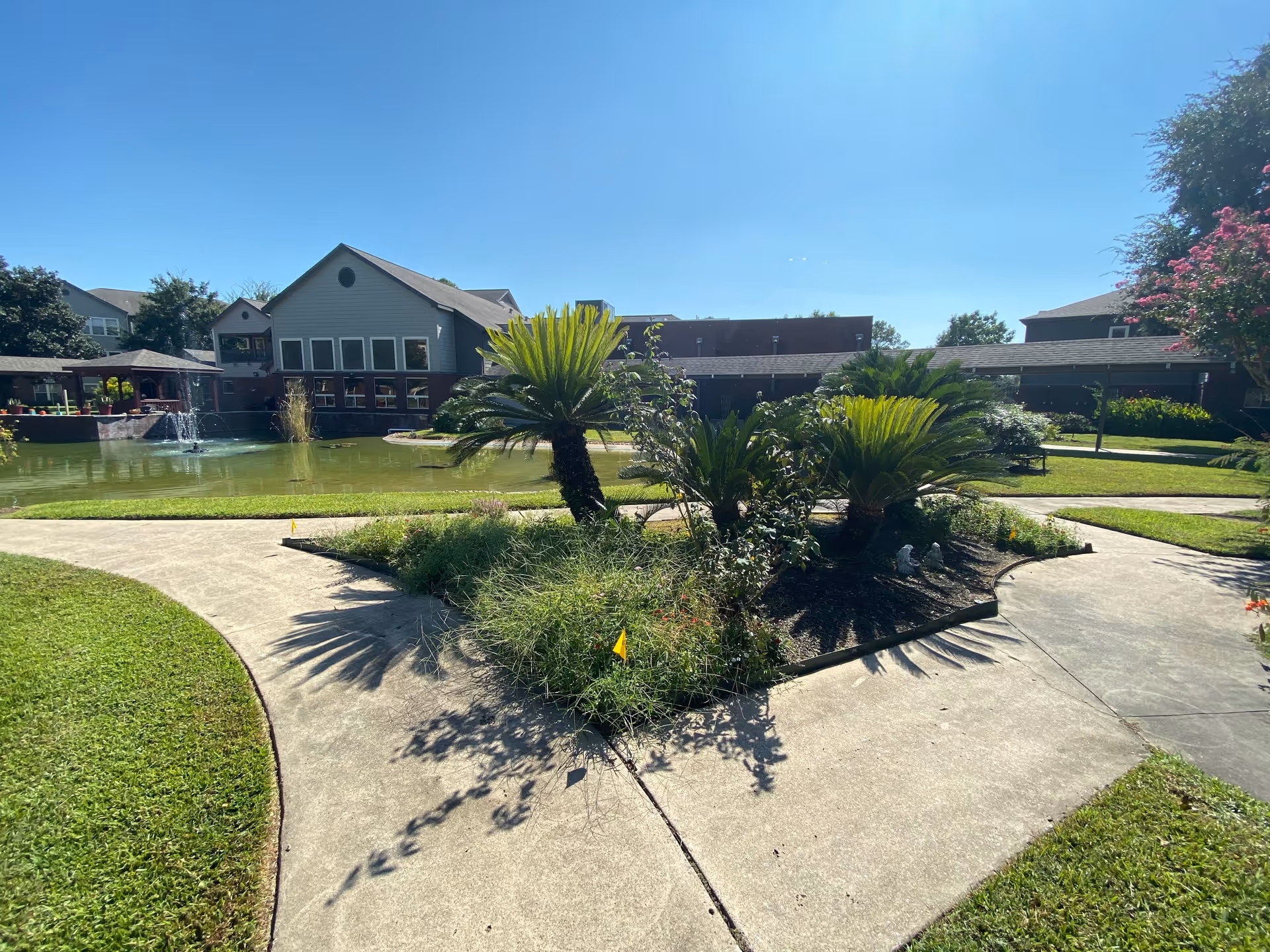 Outdoor garden area at Lone Star Living with a concrete pathway surrounding a landscaped section with palm-like plants and greenery. In the background, there is a pond with a water fountain and a building with large windows under a clear blue sky.