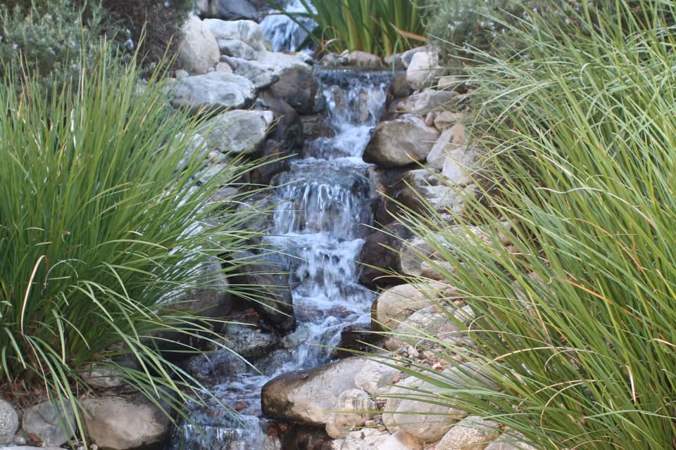 A small cascading waterfall surrounded by rocks and tall green grasses in a landscaped outdoor garden area.