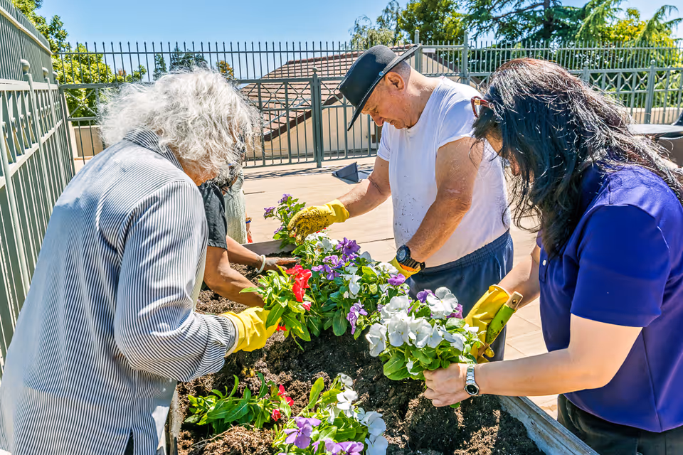 A group of elderly people gardening together outdoors, planting colorful flowers in a raised garden bed on a sunny day, with a metal fence and trees in the background.
