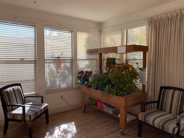 A bright room with large windows covered by white blinds and beige curtains. Two striped armchairs are positioned on either side of a wooden planter box filled with various green plants. The floor is light wood, and sunlight streams through the windows.