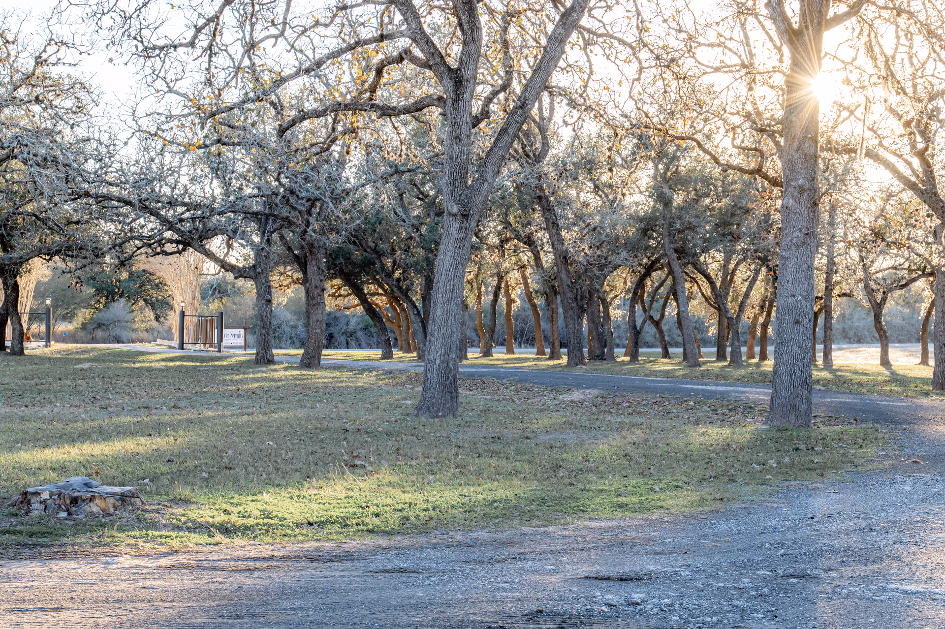A sunlit outdoor area with a gravel path winding through a grove of leafless trees. The sun is shining through the branches, casting light and shadows on the grassy ground.