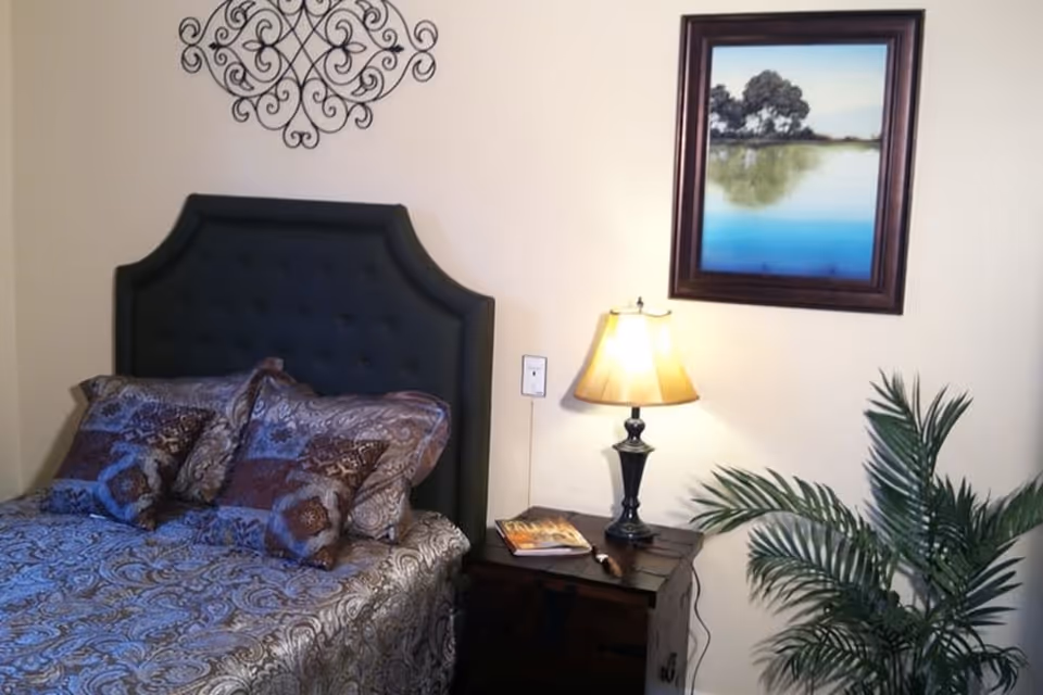 A bedroom with a dark upholstered headboard, a bed with patterned bedding and multiple pillows, a wooden nightstand with a lit table lamp and a book, a framed landscape painting on the wall, a decorative metal wall art above the headboard, and a green potted plant in the corner.