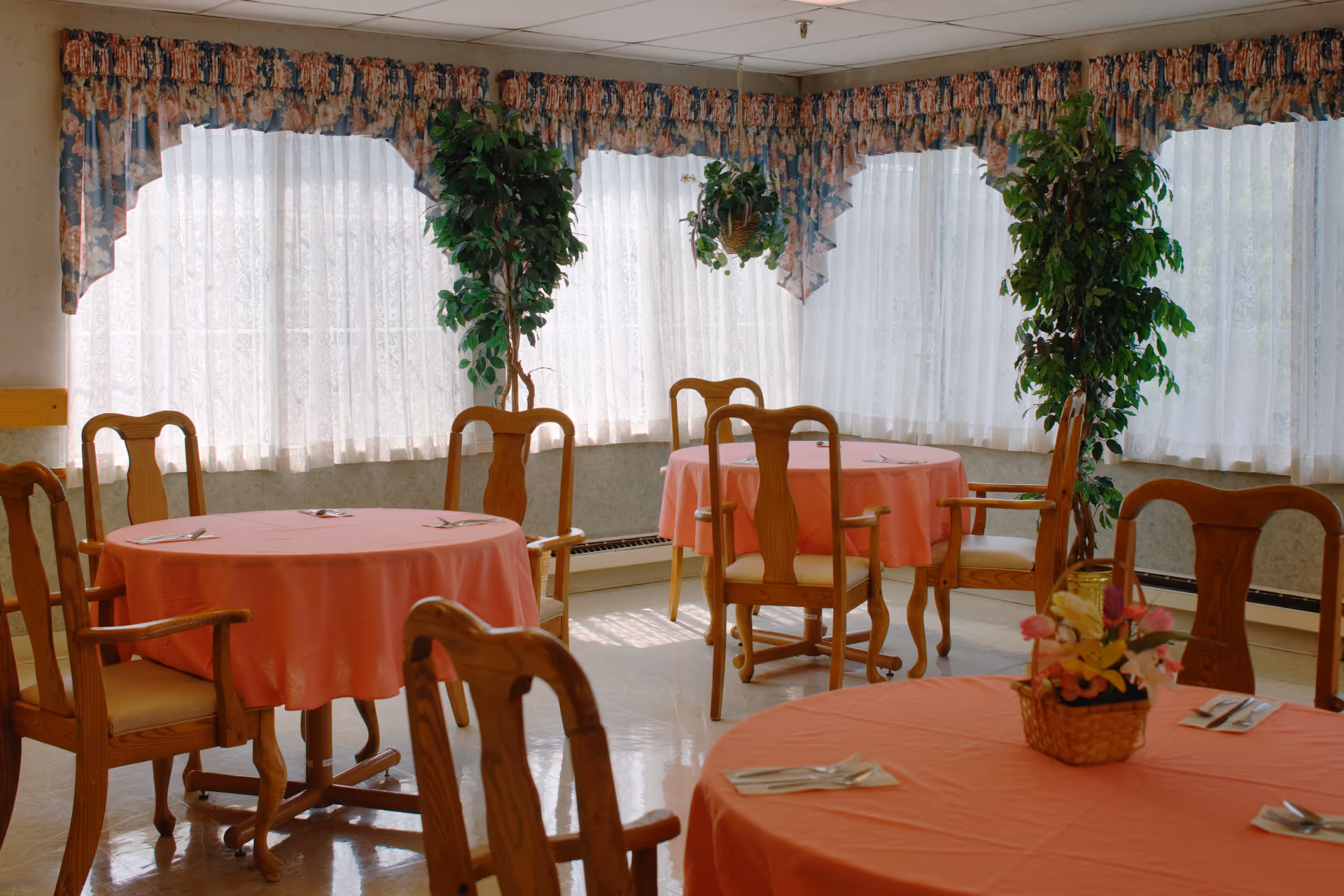 Small dining room with round tables covered in pink tablecloths, wooden chairs, lace curtains and potted plants.