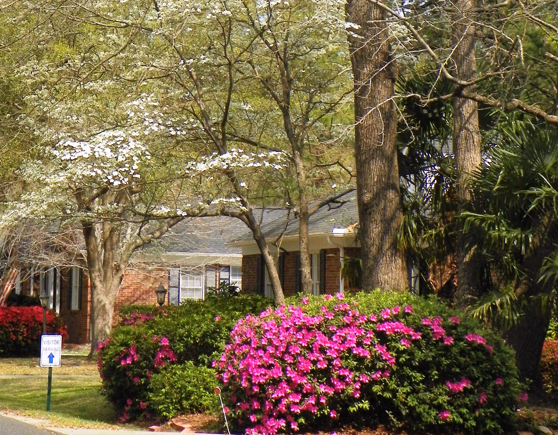Brick single-story building front partially obscured by trees and pink flowering bushes in a landscaped yard.