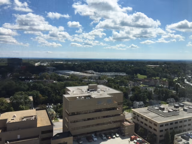View from a high window showing several office buildings in the foreground with a sprawling suburban area and green trees extending to the horizon under a partly cloudy blue sky.
