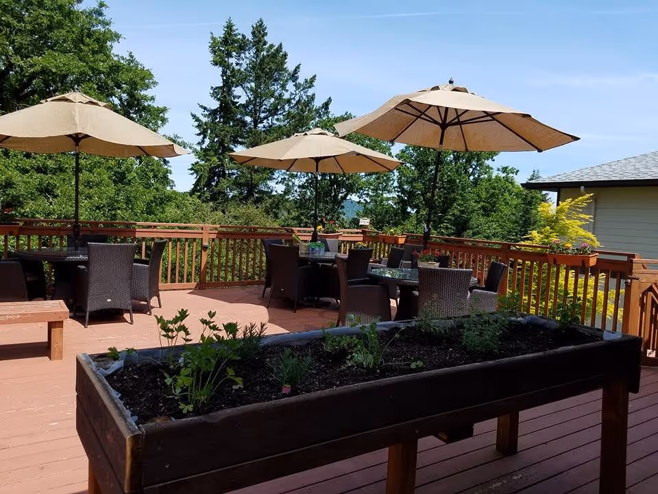 Outdoor patio area with several round tables and wicker chairs under large beige umbrellas. There is a raised garden bed with plants in the foreground and trees surrounding the deck area under a clear blue sky.
