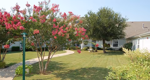 A well-maintained outdoor garden area with green grass, a curved walking path, blooming pink flowering trees, and a large leafy tree near a single-story building under a clear blue sky.