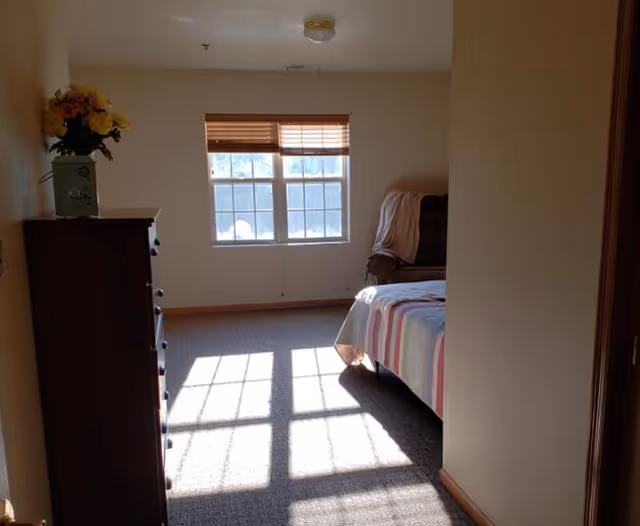 Sunlit bedroom with a window casting grid-like shadows on the carpet, a bed with a striped quilt, a dresser topped with flowers, and an armchair.