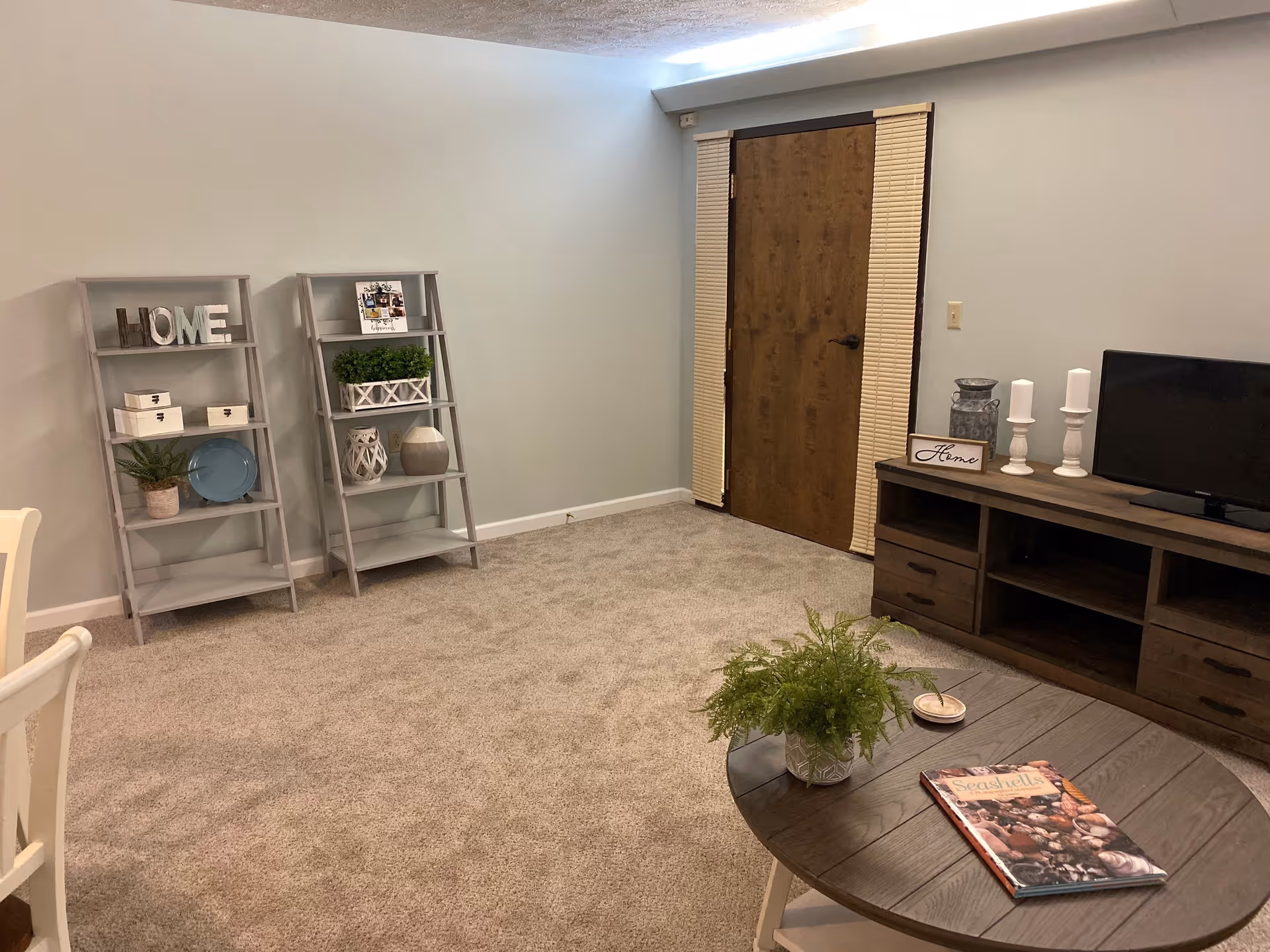 A cozy living room with beige carpet, light gray walls, and a wooden door with vertical blinds. The room features two gray ladder shelves decorated with plants, boxes, and decorative items including a sign that says 'HOME'. A wooden TV stand holds a small flat-screen TV, candles, and a decorative sign also reading 'Home'. In the foreground, there is a round wooden coffee table with a green potted plant and a book titled 'Seashells'.