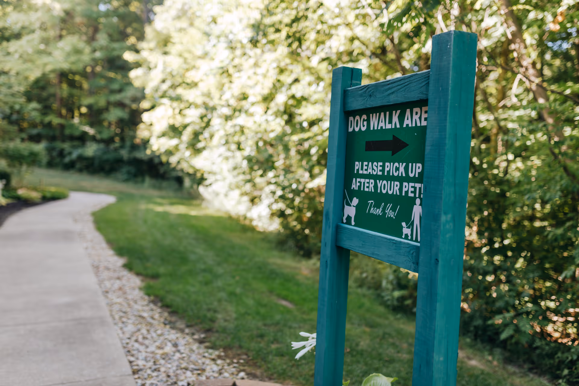Green wooden sign reading 'Dog Walk Area' and 'Please pick up after your pet' beside a paved path through grassy, wooded grounds.