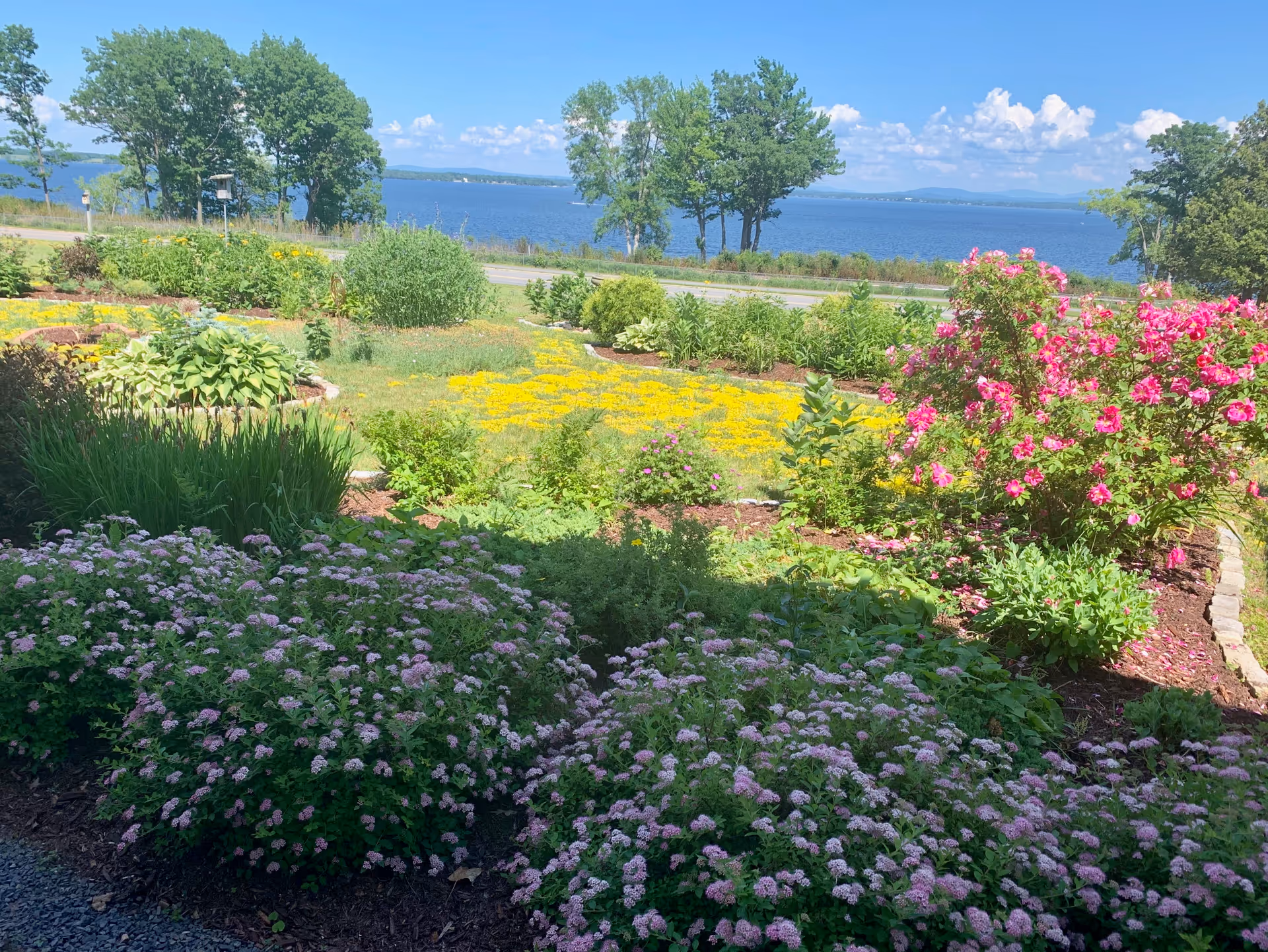 A vibrant garden with various colorful flowers including pink, yellow, and purple blooms. In the background, there are green trees and a large body of water under a blue sky with scattered clouds.