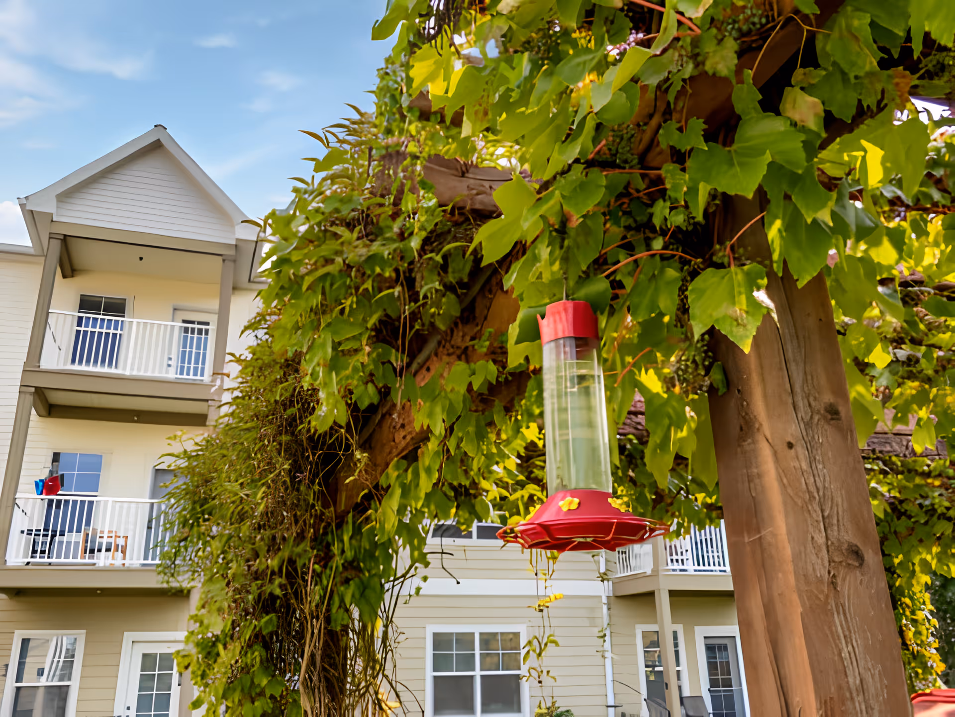 A close-up view of a red hummingbird feeder hanging from a wooden pergola covered with green leafy vines. In the background, there is a multi-story beige building with balconies and white railings under a blue sky with some clouds.