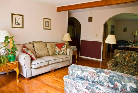Cozy living room with sofas, lamps, and a potted plant.