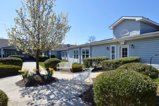 Sunny courtyard with a flowering tree, benches and metal chairs surrounded by trimmed shrubs in front of a light-blue single-story building.