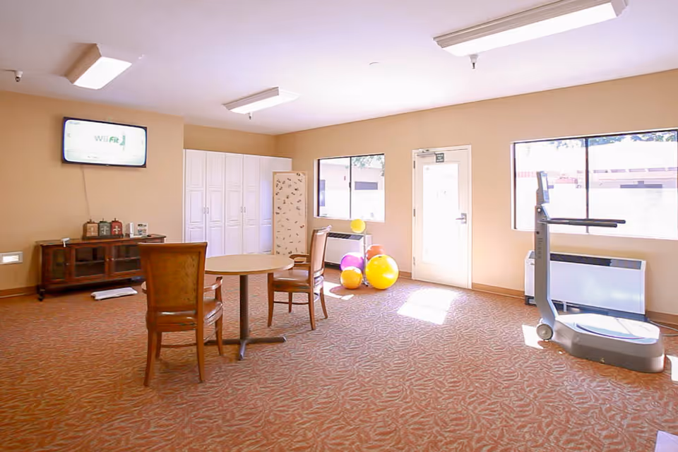 A bright room with beige walls and patterned carpet featuring a round table with two wooden chairs, a television mounted on the wall displaying Wii Fit, several colorful exercise balls near a window, and a vibration exercise machine near a door with windows letting in natural light.