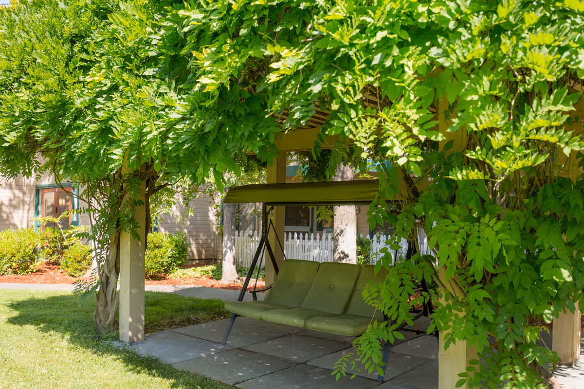Outdoor garden area with a green cushioned swing bench under a pergola covered with lush green vines. The background shows part of a building, a white picket fence, and some bushes and trees.