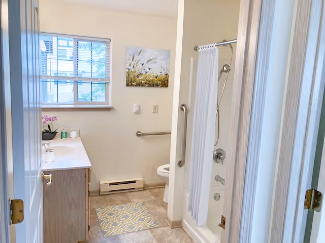 A clean and well-lit bathroom featuring a vanity with a sink and faucet on the left, a window above the vanity, a toilet with a grab bar on the wall behind it, and a bathtub with a shower curtain on the right. The floor has a patterned rug, and there is a floral wall art hanging above the toilet.