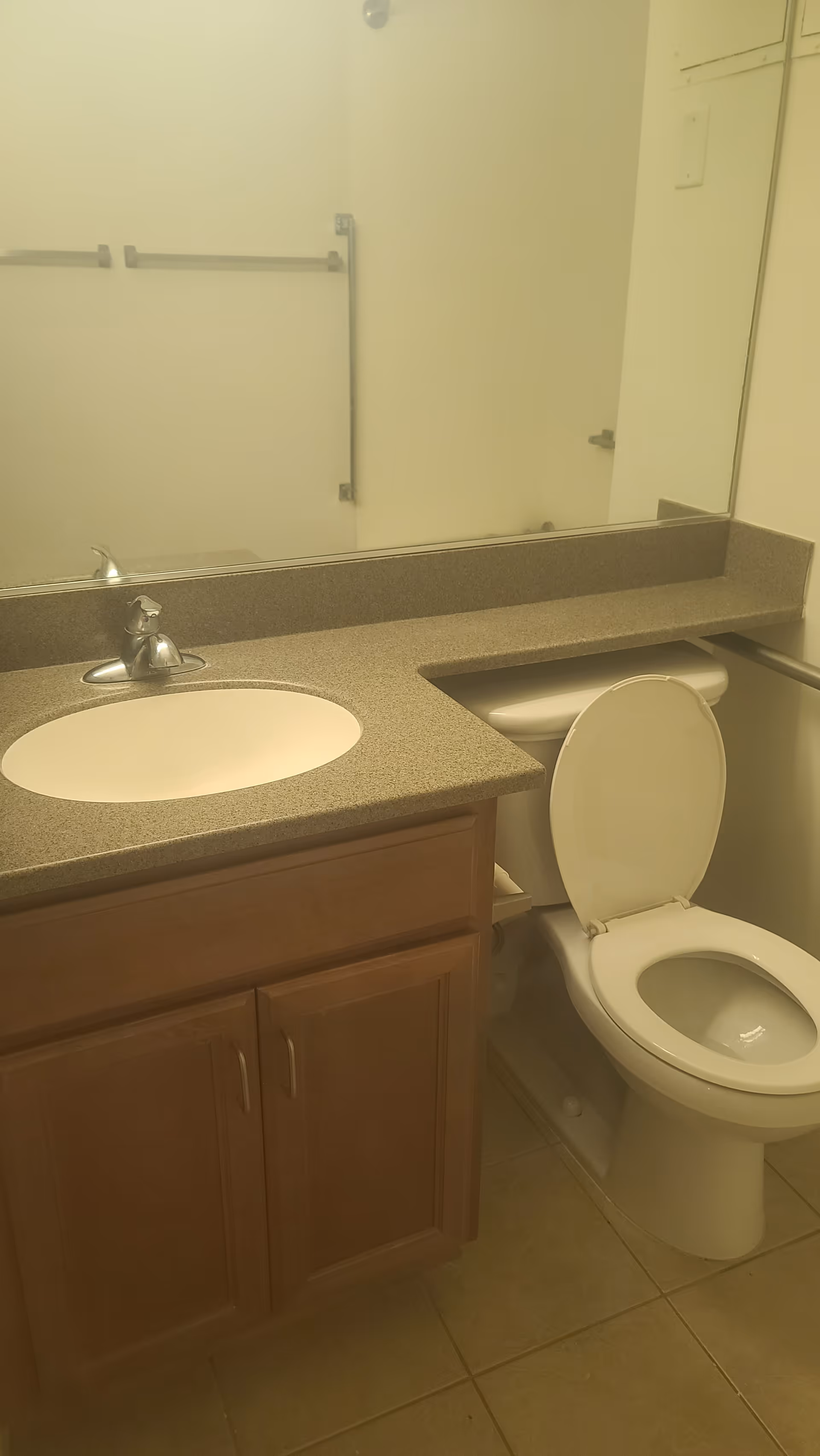 Bathroom with a countertop sink, wooden cabinet below, a toilet with the lid open, a large mirror above the sink, and a towel rack on the wall.