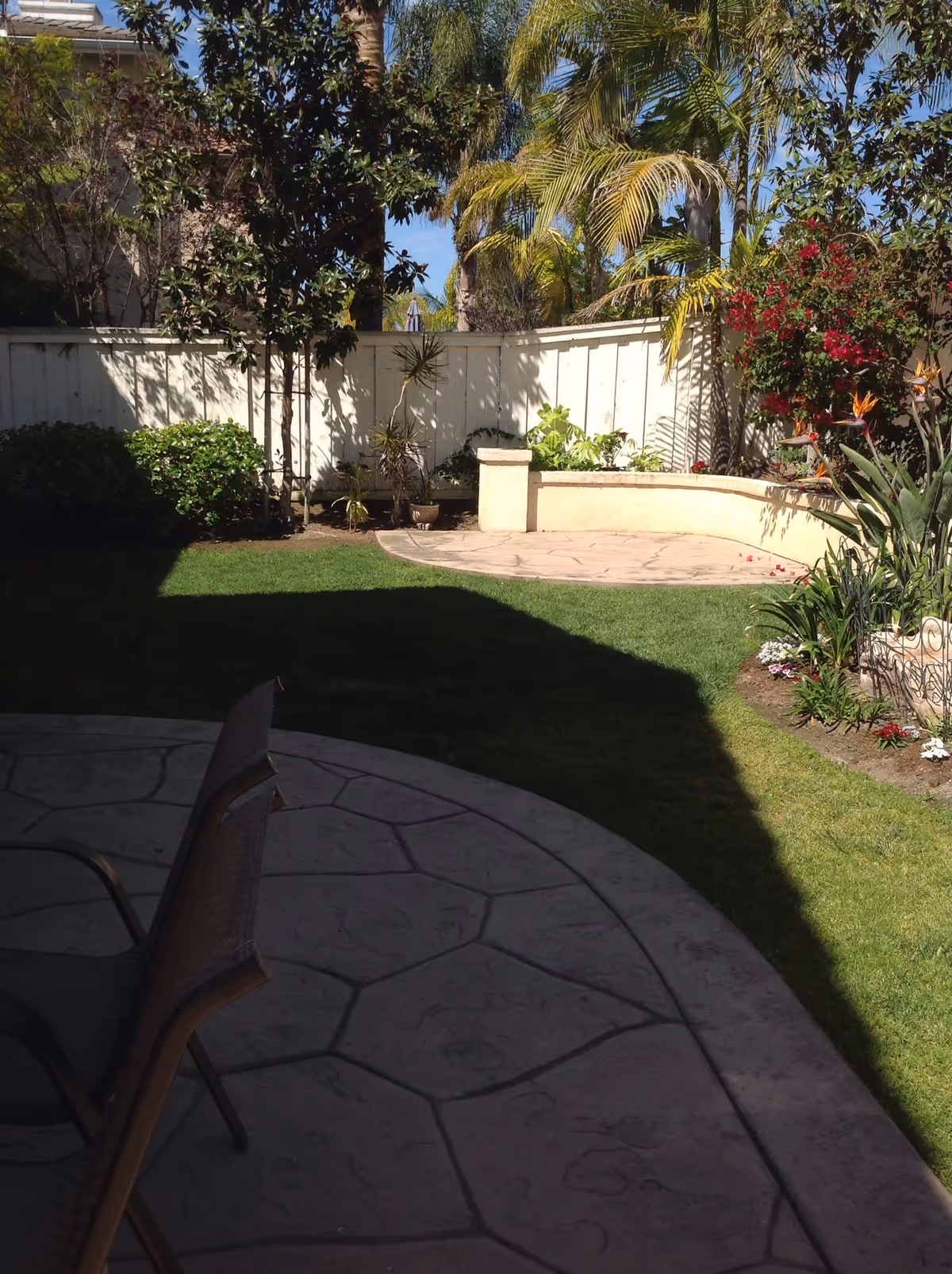 Sunny backyard with a stone patio and chairs, green lawn, curved low wall, and tropical plants against a white fence.