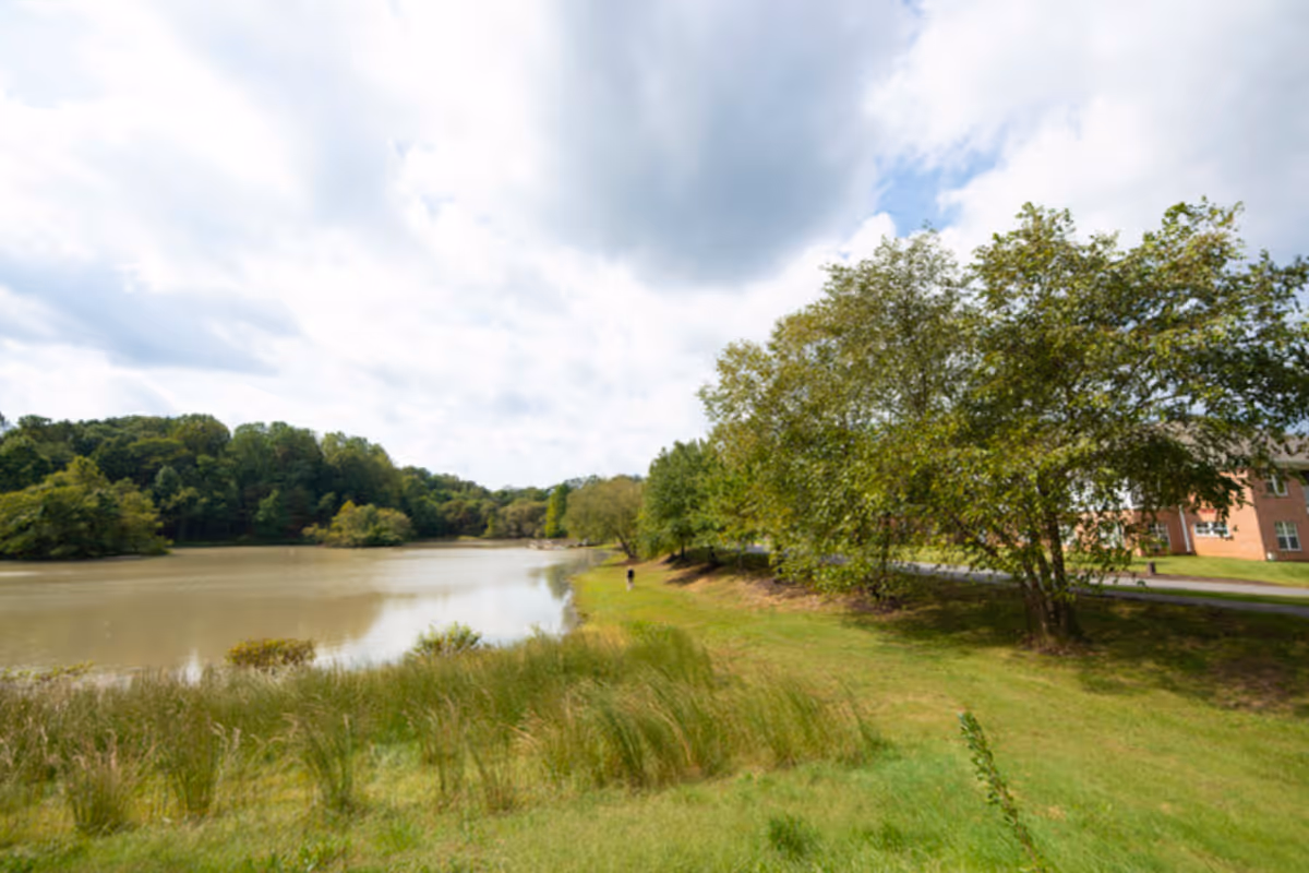 A peaceful outdoor scene featuring a calm lake surrounded by green grass and trees under a partly cloudy sky. A building is partially visible on the right side behind some trees.