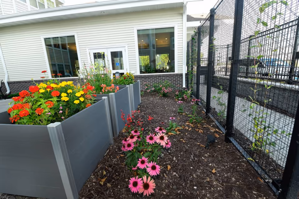 Raised planters and flower beds with colorful blooms beside the exterior of a senior living building and a metal fence.
