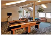 Community lounge with a shuffleboard table, sofas and chairs, a wall-mounted TV and hanging plants near large windows.