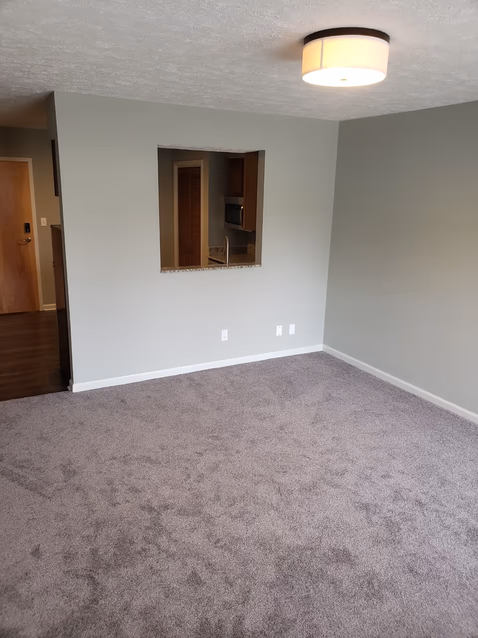 Empty room with gray carpet and light gray walls. There is a square opening in the wall showing a kitchen area with wooden cabinets and a microwave. A ceiling light fixture is visible, and a wooden door is seen in the background.