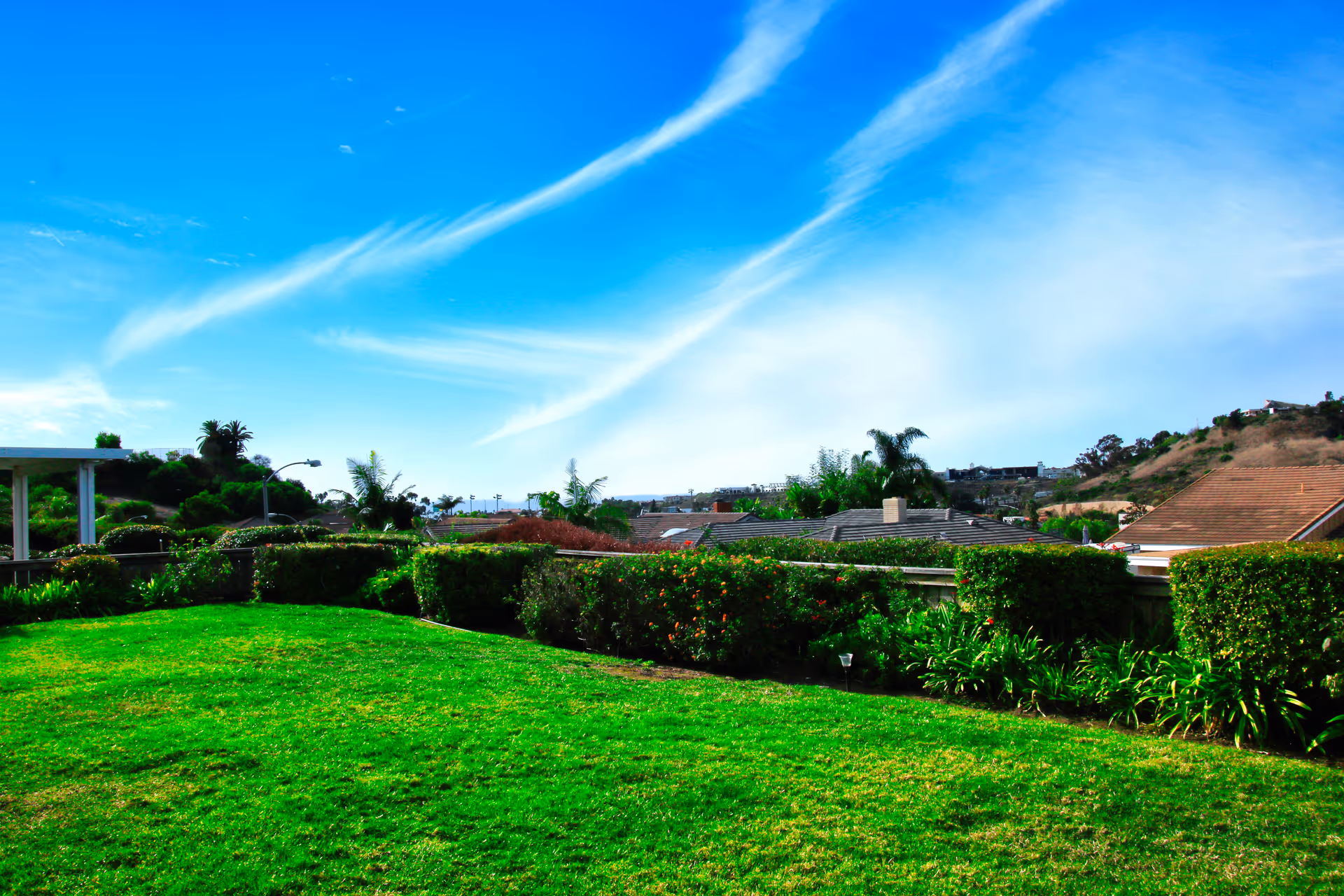 A bright outdoor garden area with well-maintained green grass, trimmed bushes, and various plants. In the background, there are rooftops of houses and a clear blue sky with wispy clouds.