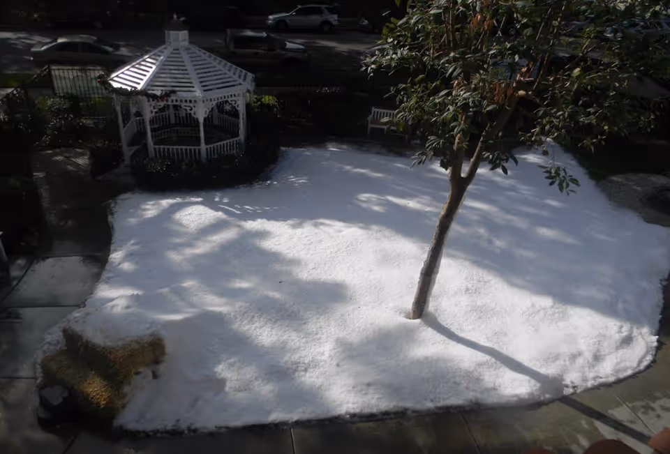 Outdoor garden area with a white gazebo, a tree casting shadows on a white ground covering, a bench, and some hay bales near the edge of the area. Several parked cars are visible in the background.
