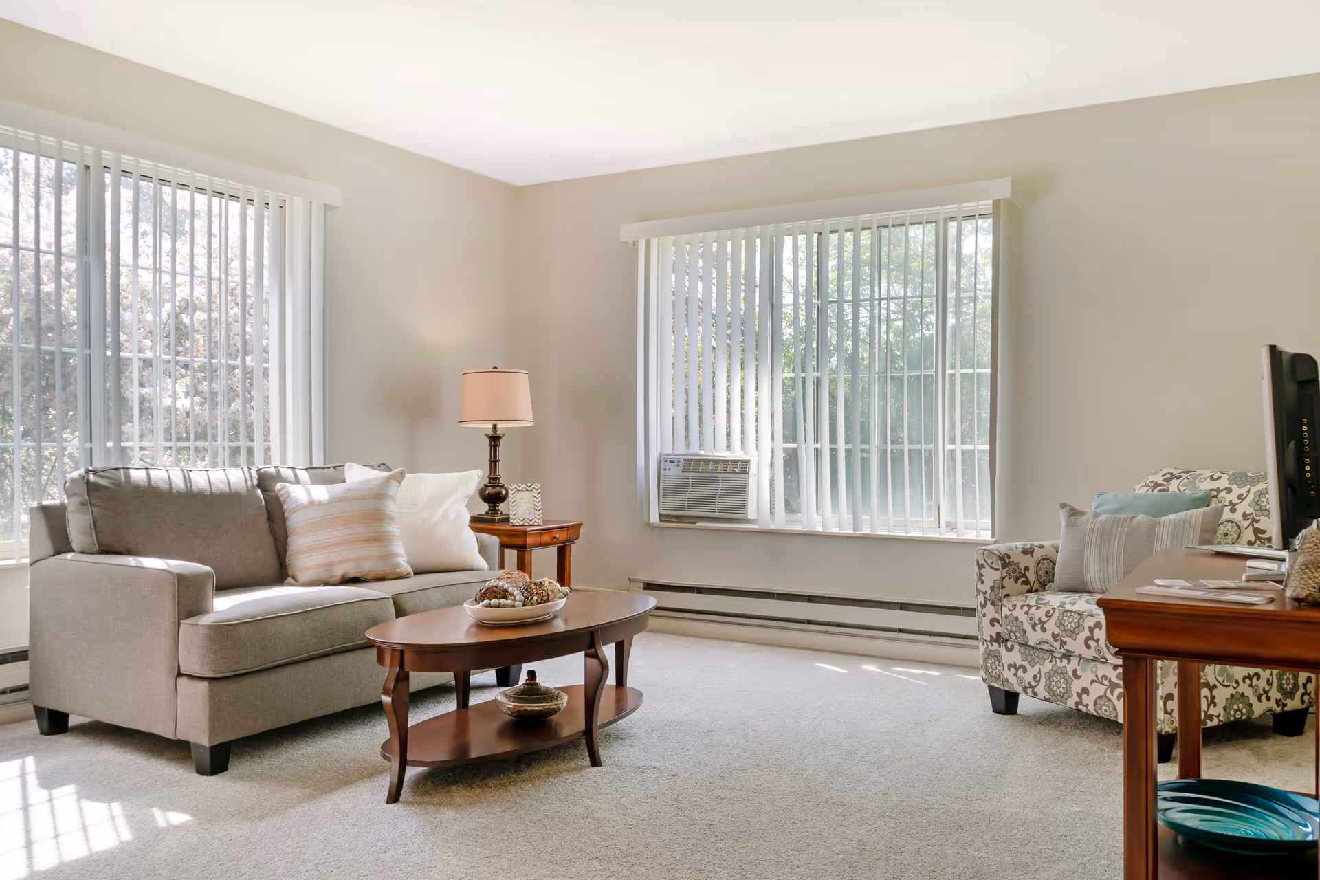 A bright living room with two large windows covered by vertical blinds. The room features a gray sofa with striped and white pillows, a wooden coffee table with decorative items, a patterned armchair with pillows, a wooden side table with a lamp, and a TV on a wooden stand. The carpet is light-colored and the walls are painted a soft beige.