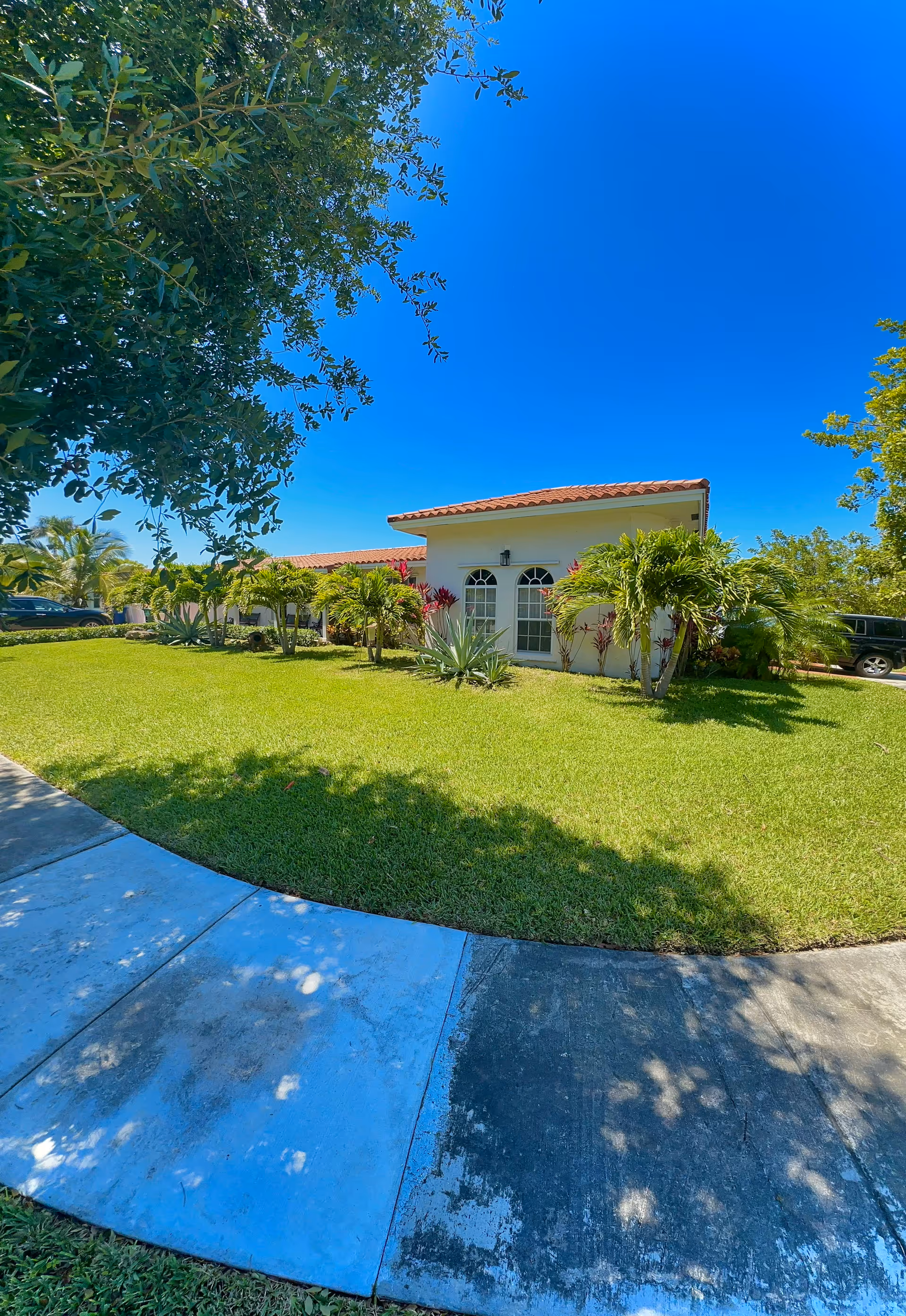 A single-story building with a red-tiled roof surrounded by a well-maintained green lawn and various palm trees and shrubs under a clear blue sky. A curved concrete sidewalk is visible in the foreground.