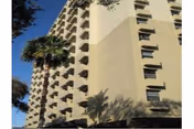 A tall beige apartment building with multiple balconies and a palm tree against a blue sky.