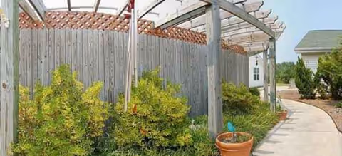 A fenced walkway with a trellis pergola and green shrubs beside a building.
