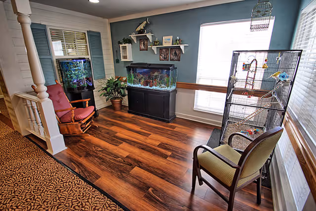 A cozy interior corner of a senior living facility with wooden flooring, a red cushioned rocking chair, a green cushioned chair, two large fish tanks, a birdcage with birds, potted plants, and decorative shelves on a blue accent wall with windows letting in natural light.
