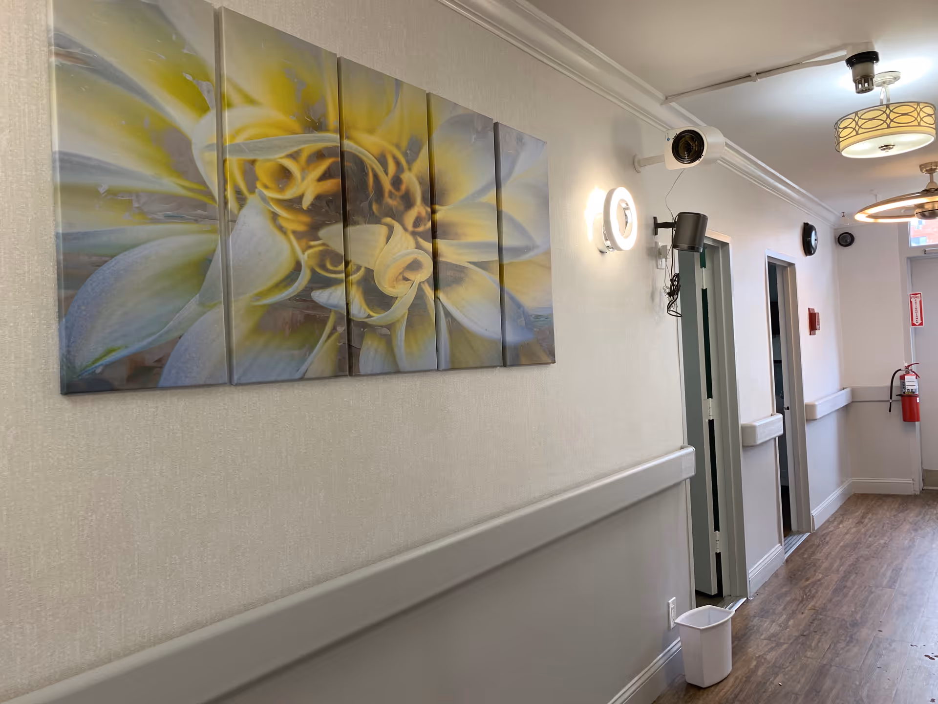 A hallway in a senior living facility with light-colored walls and wood flooring. There is a large multi-panel painting of a yellow and white flower on the left wall. The hallway has several doors, a fire extinguisher mounted on the wall at the end, ceiling lights, and a small white trash bin on the floor.