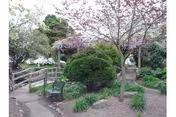 A peaceful outdoor garden area with a paved walkway, a wooden fence, a bench, and various green shrubs and trees, some with pink blossoms.